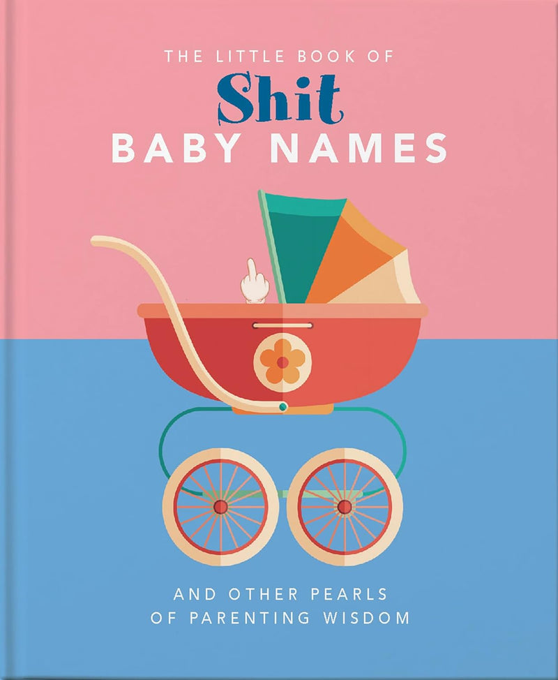 Little Book of Shit Baby Names And Other Pearls of Parenting Wisdom
