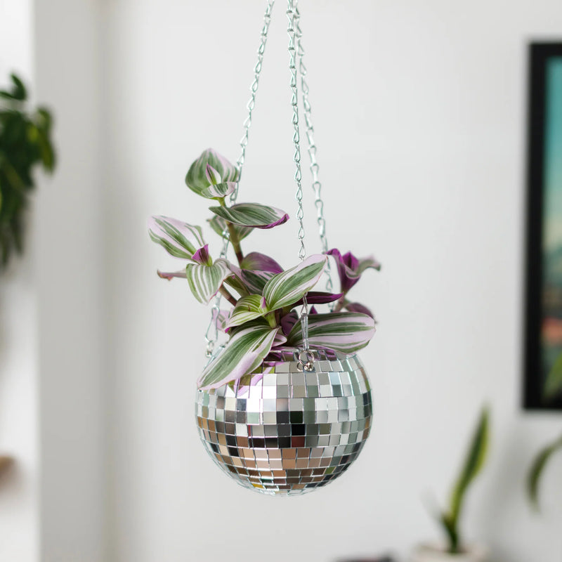 Hanging Disco Planter