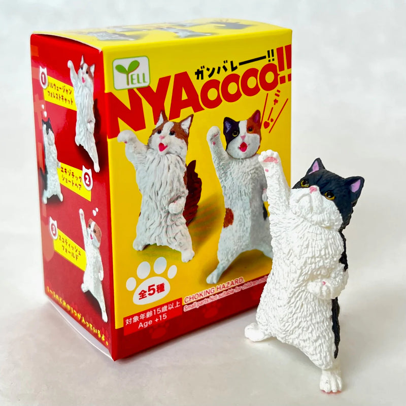 NYAooo Celebration Cat Blind Box