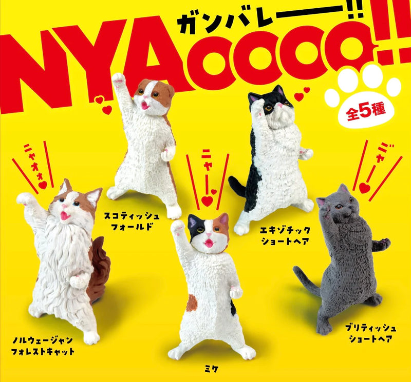NYAooo Celebration Cat Blind Box