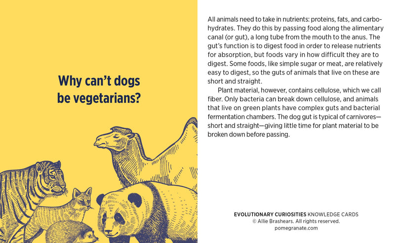 Evolutionary Curiosities Knowledge Cards