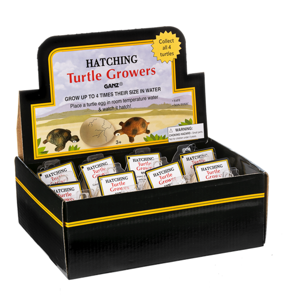Hatching Turtle Growers (Assorted)