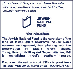 Frosted Shades of Blue Premium Hanukkah Candles