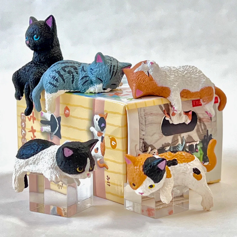 Resting Cats Blind Box