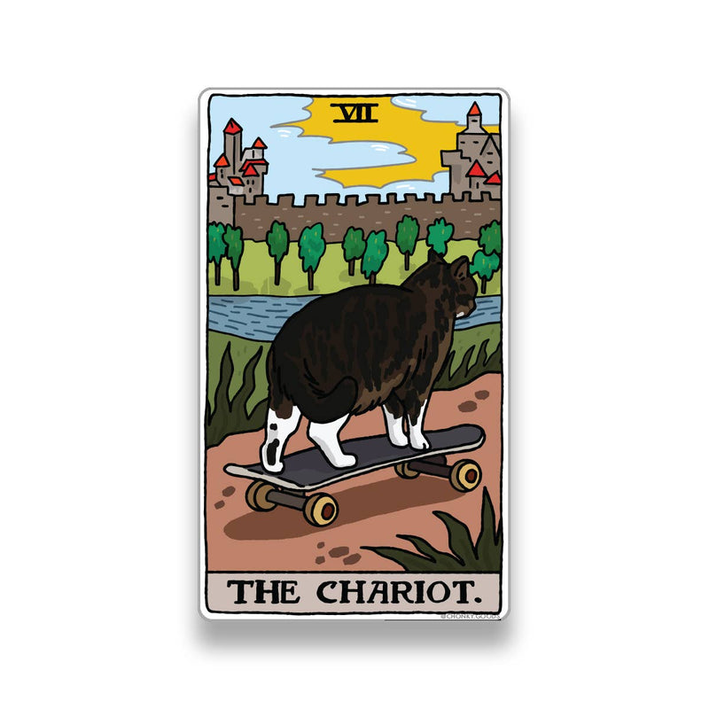 The Chariot Tarot Cat Meme Sticker