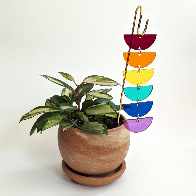 Rainbow Sunrise Plant Pick