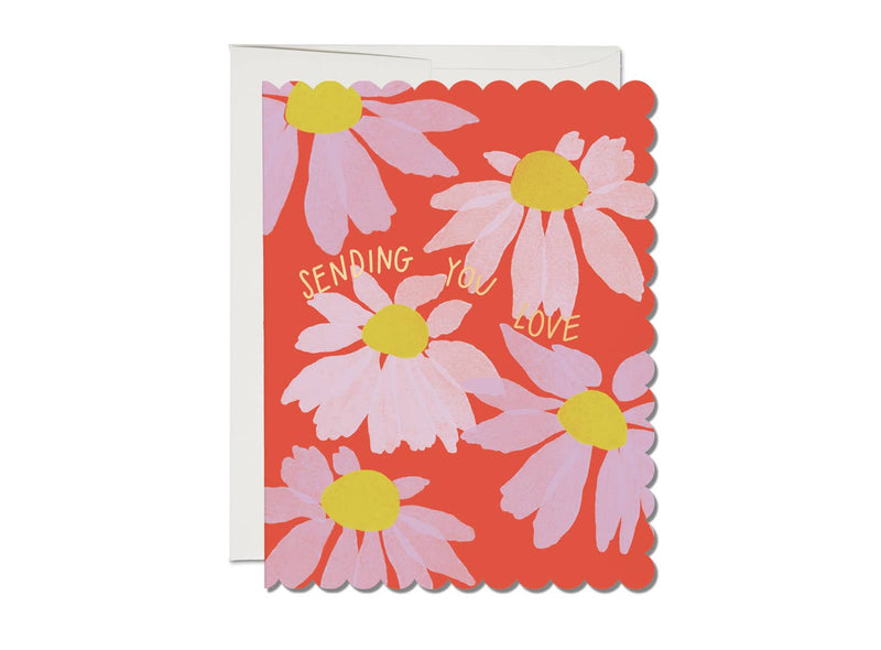 Scalloped Coneflower Sympathy Greeting Card
