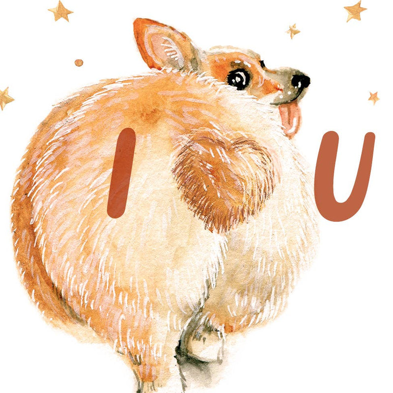 Corgi Loves You Card