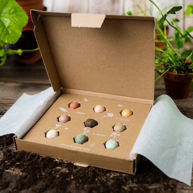 Blossombs DIY Ornaments Kit