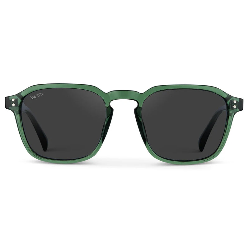 Francis Polarized Sunglasses