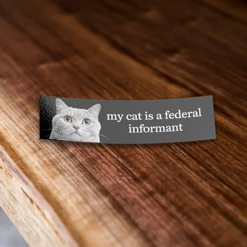 My Cat Is A Federal Informant Bumper Sticker