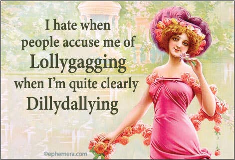 Accuse Me of Lollygagging Magnet