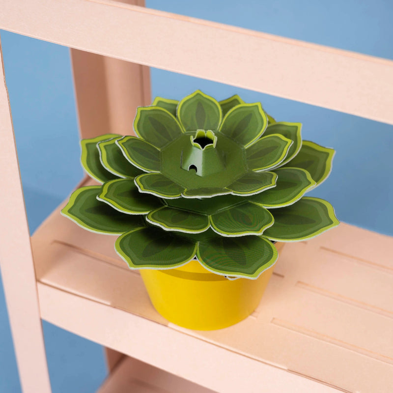 Make Your Own Mindful Succulent