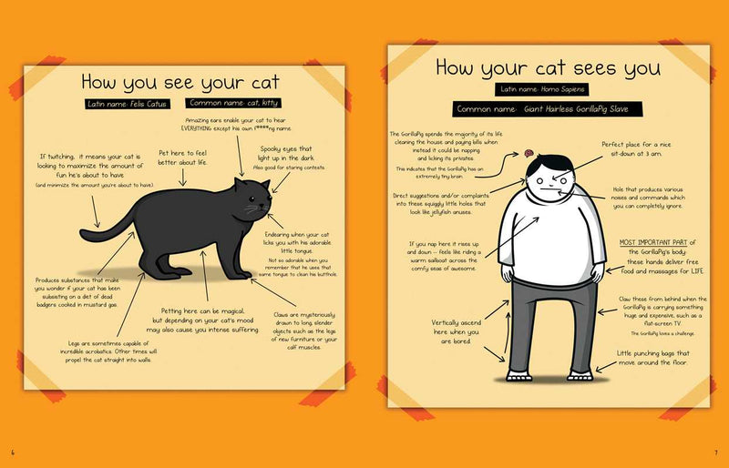 How to Tell If Your Cat Is Plotting to Kill You