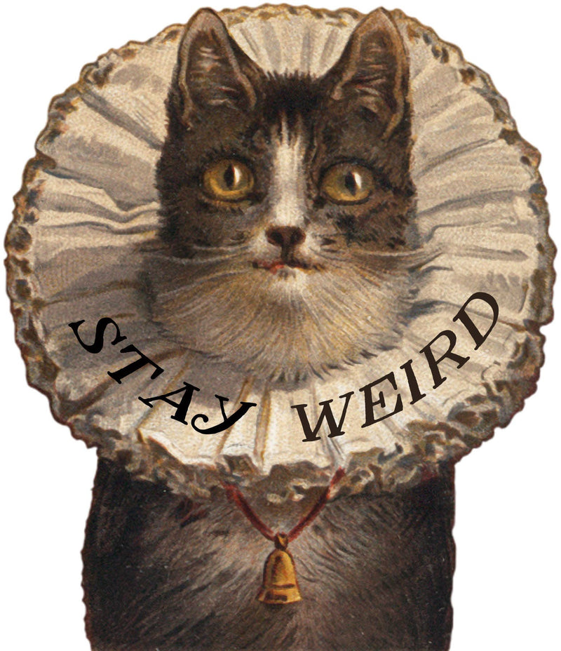 Stay Weird Kitty Sticker