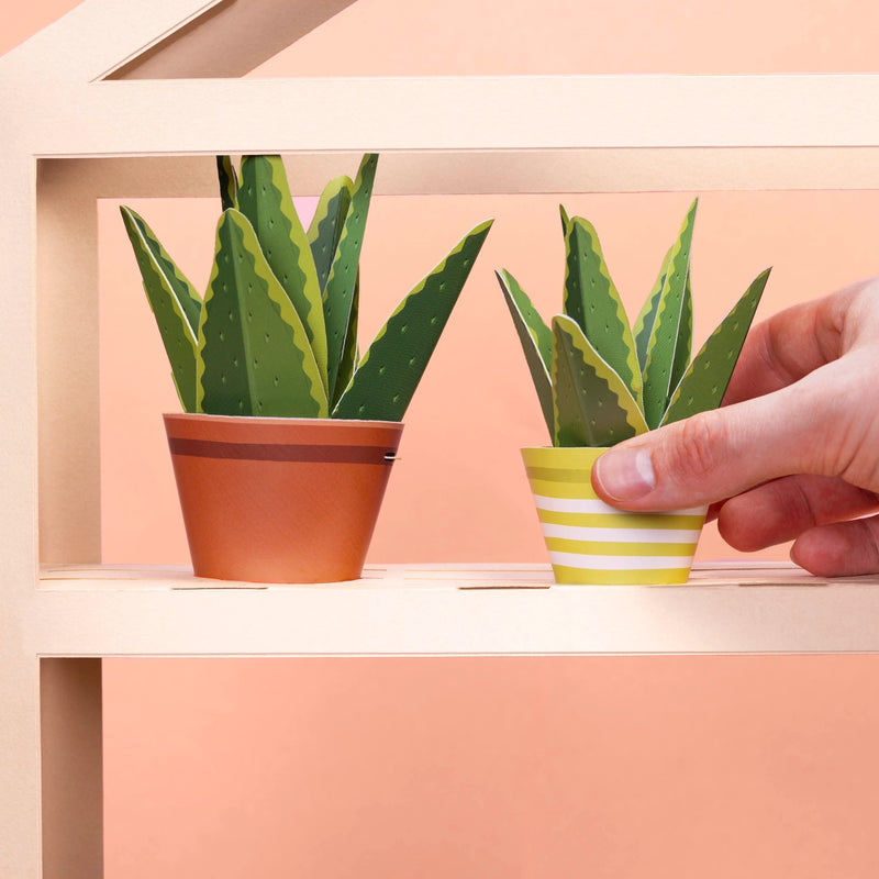 Make Your Own Mindful Aloe Vera