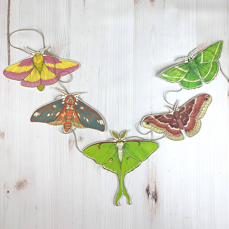 Colorful Moth Illustrated 5-Foot Garland