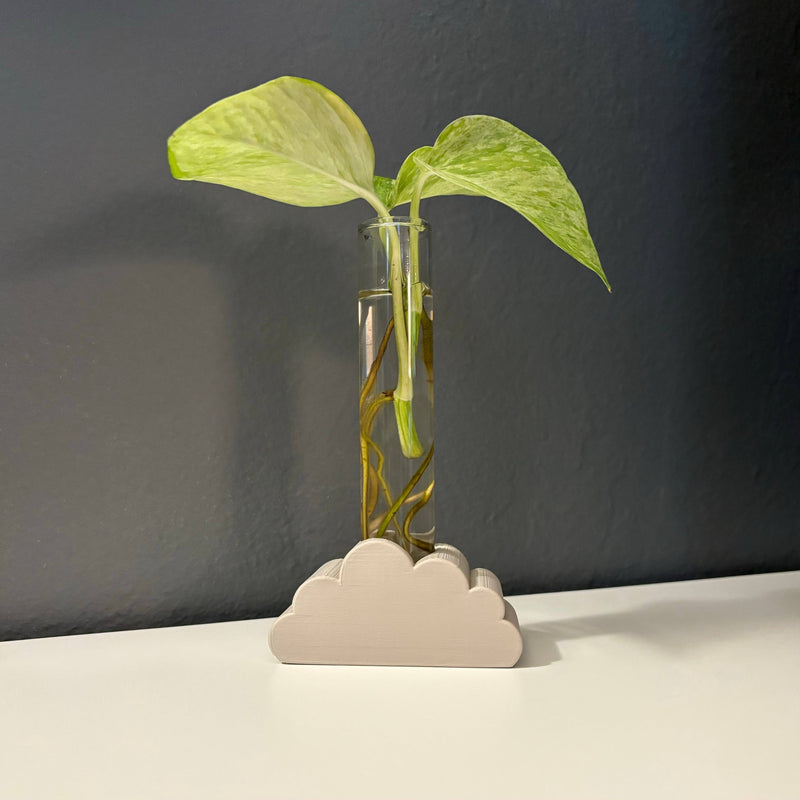 Cloud-Shaped Plant Propagation Stand