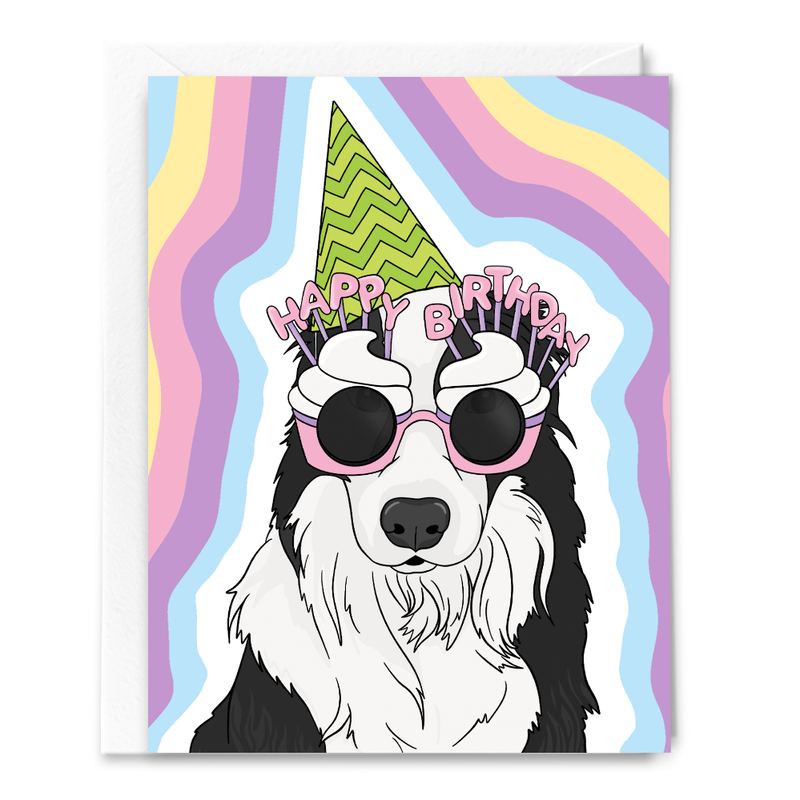 Border Collie Birthday Card