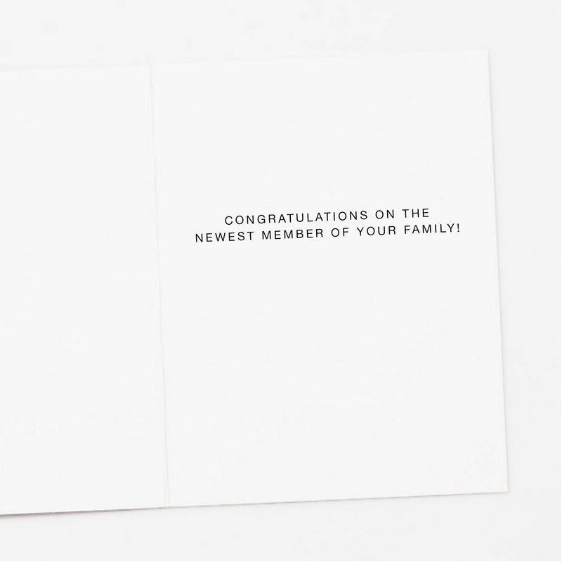Yellow Daisy New Baby Card