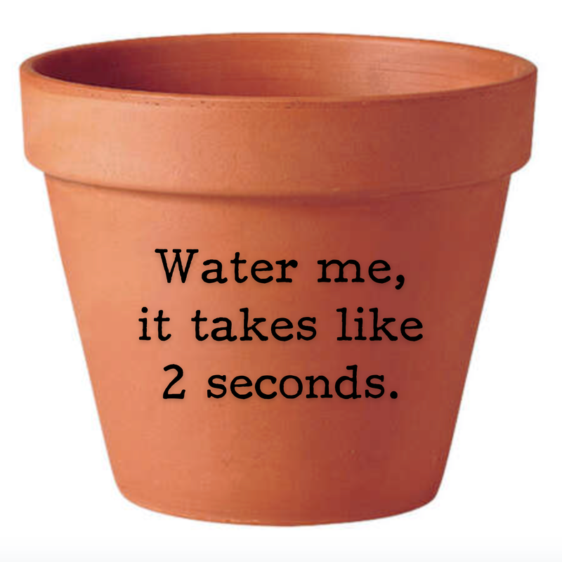 Water Me Terracotta Flower Pot