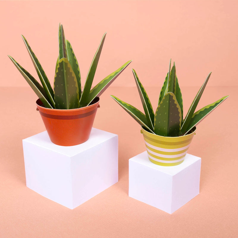 Make Your Own Mindful Aloe Vera