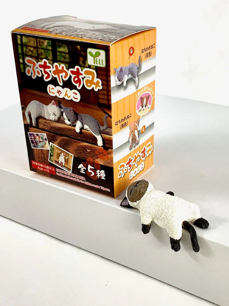 Playful Hanging Cat Blind Box