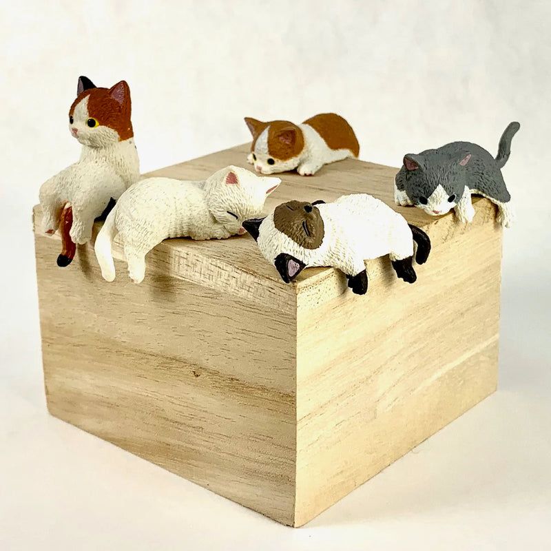 Playful Hanging Cat Blind Box