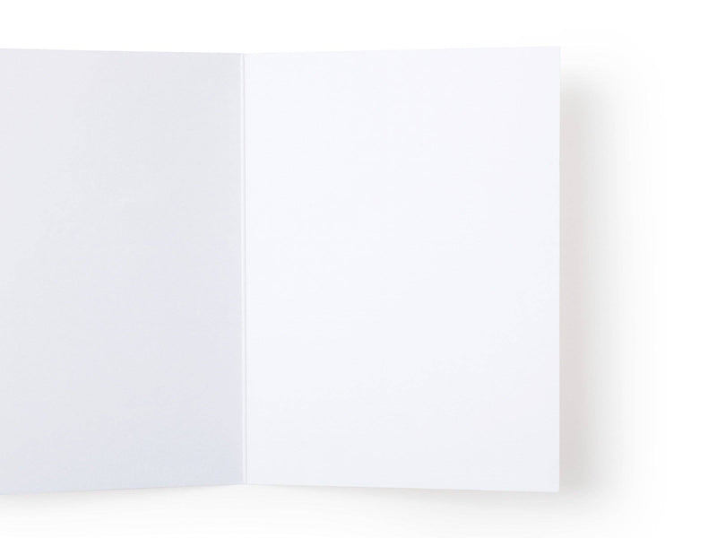 You Did It Pennant Flags Greeting Card