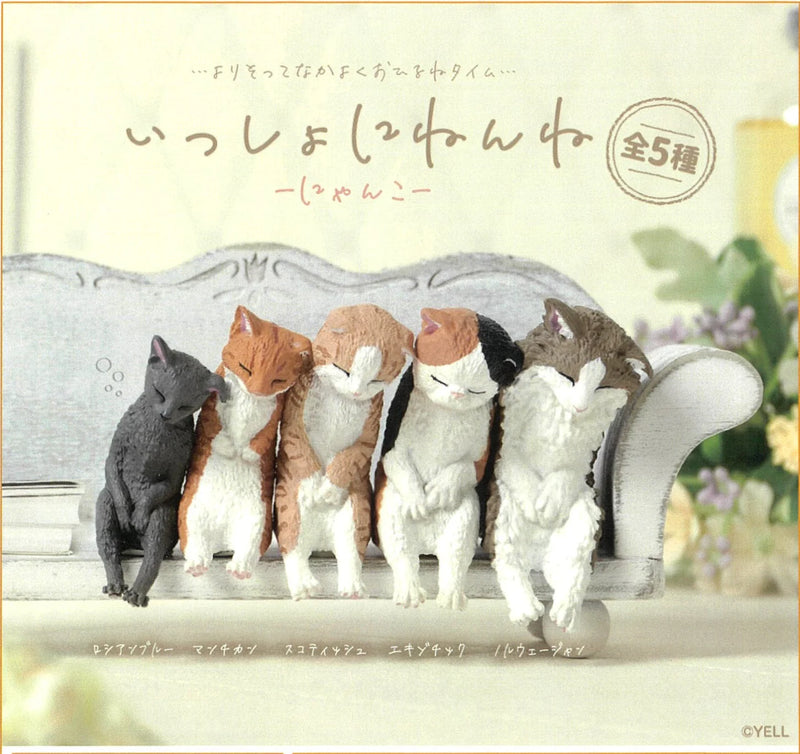 Sleeping Leaning Cats Blind Box
