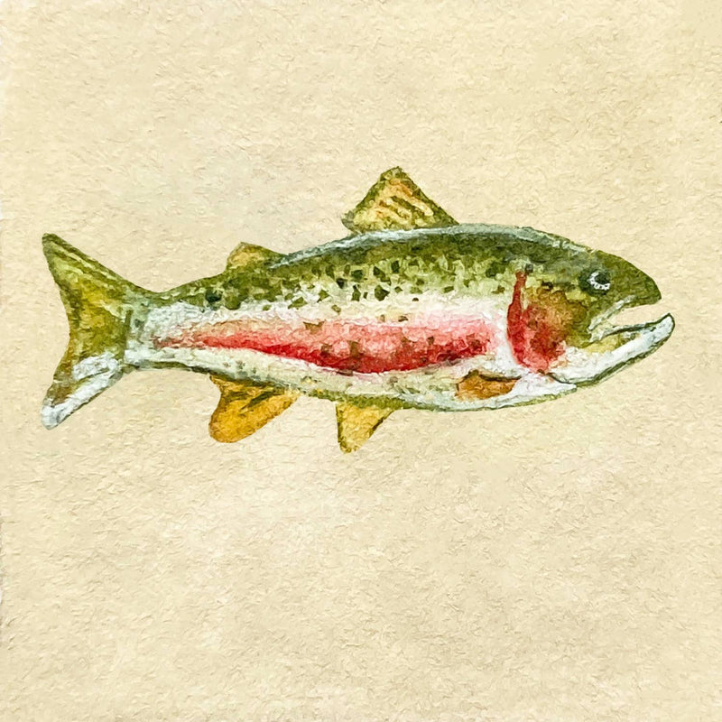 Mini 1" Rainbow Trout Watercolor Print