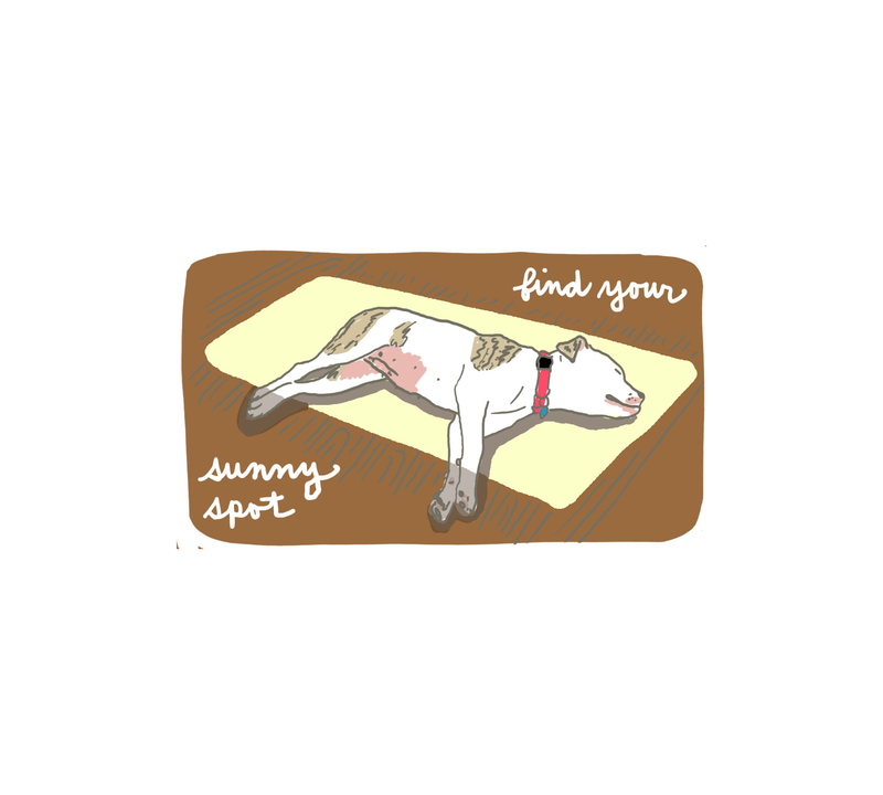 Find Your Sunny Spot Sticker