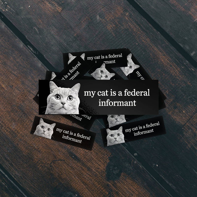 My Cat Is A Federal Informant Bumper Sticker