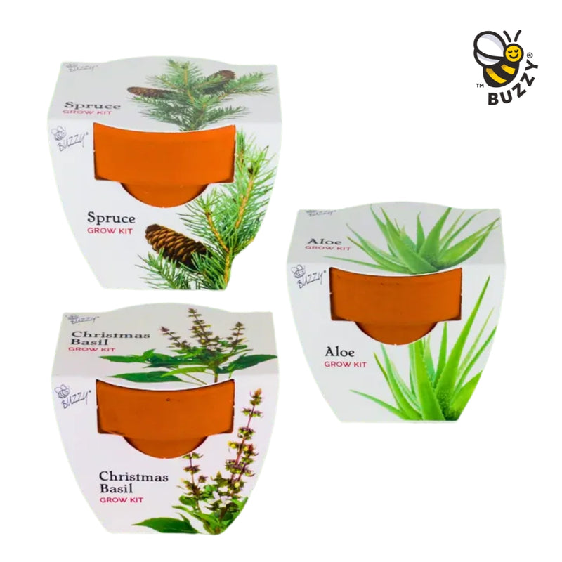 Mini Terracotta Pot Holiday Grow Kit
