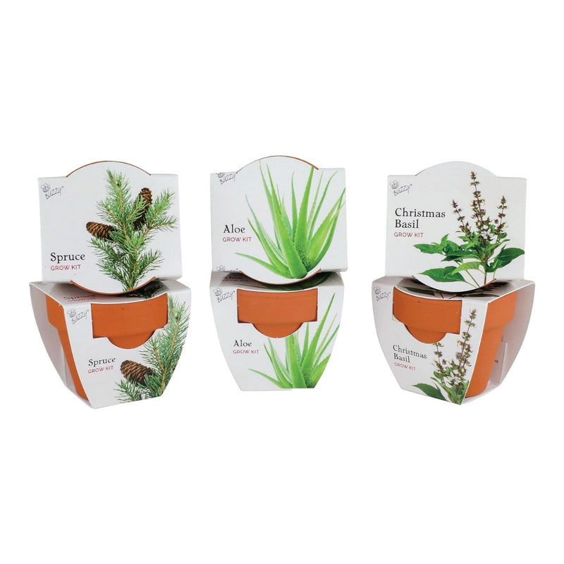 Mini Terracotta Pot Holiday Grow Kit