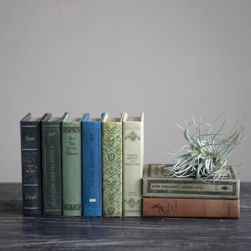 Book Storage Box (Assorted Styles)
