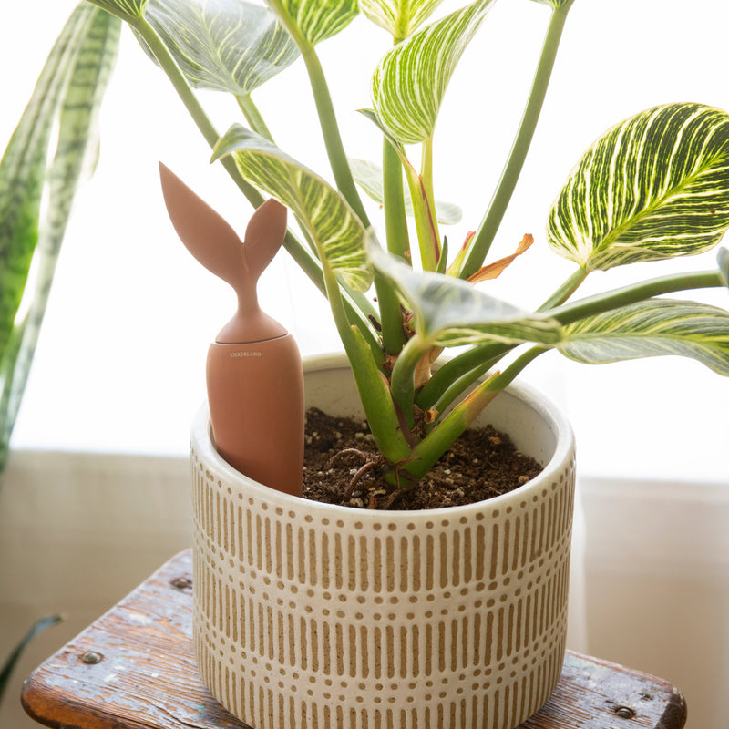 Terracotta Carrot Watering Stake