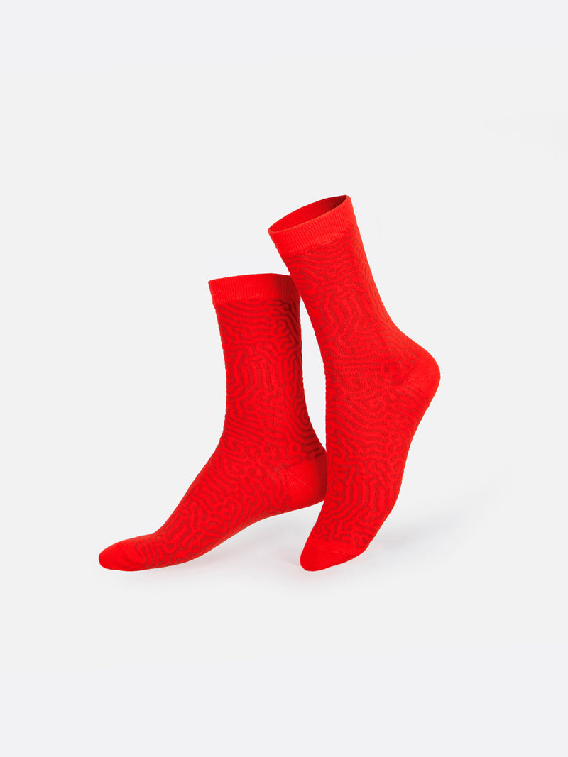 Hot Chorizo Unisex Socks