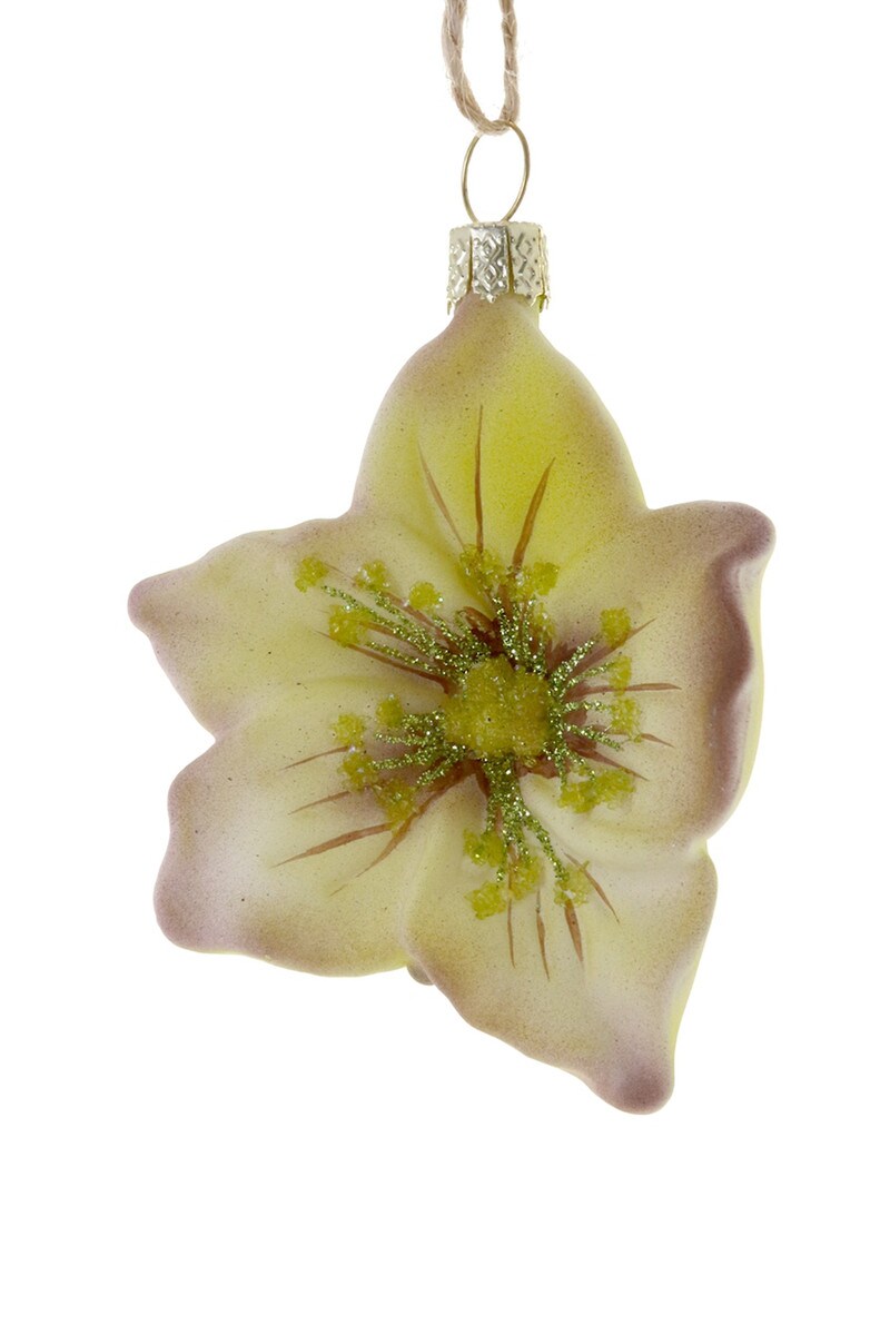 Helleborus Flower Ornament