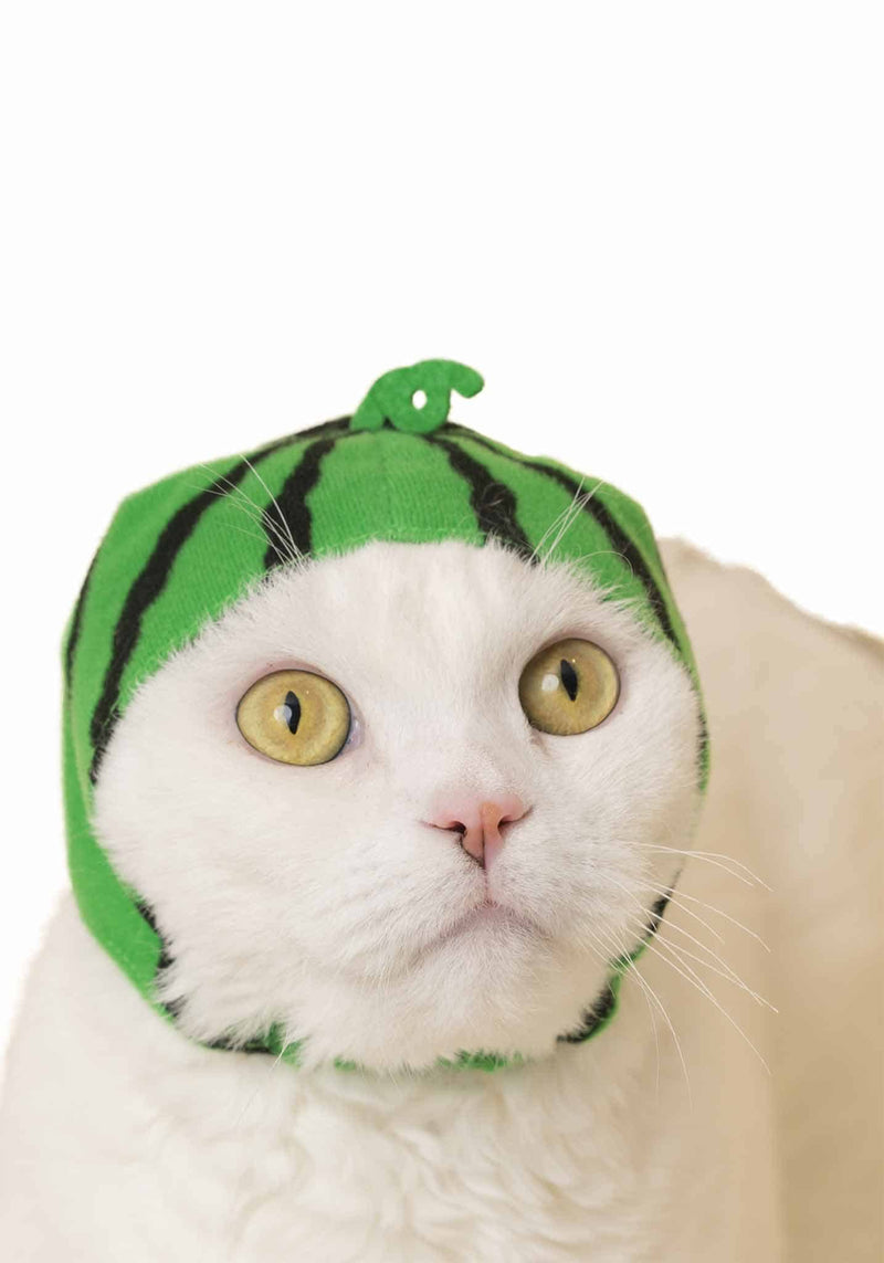 Kitan Club: Cat Cap Blind Box (Fruit)
