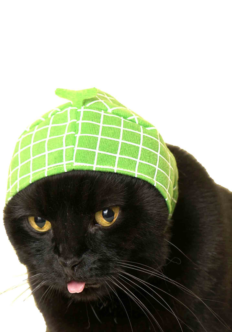 Kitan Club: Cat Cap Blind Box (Fruit)