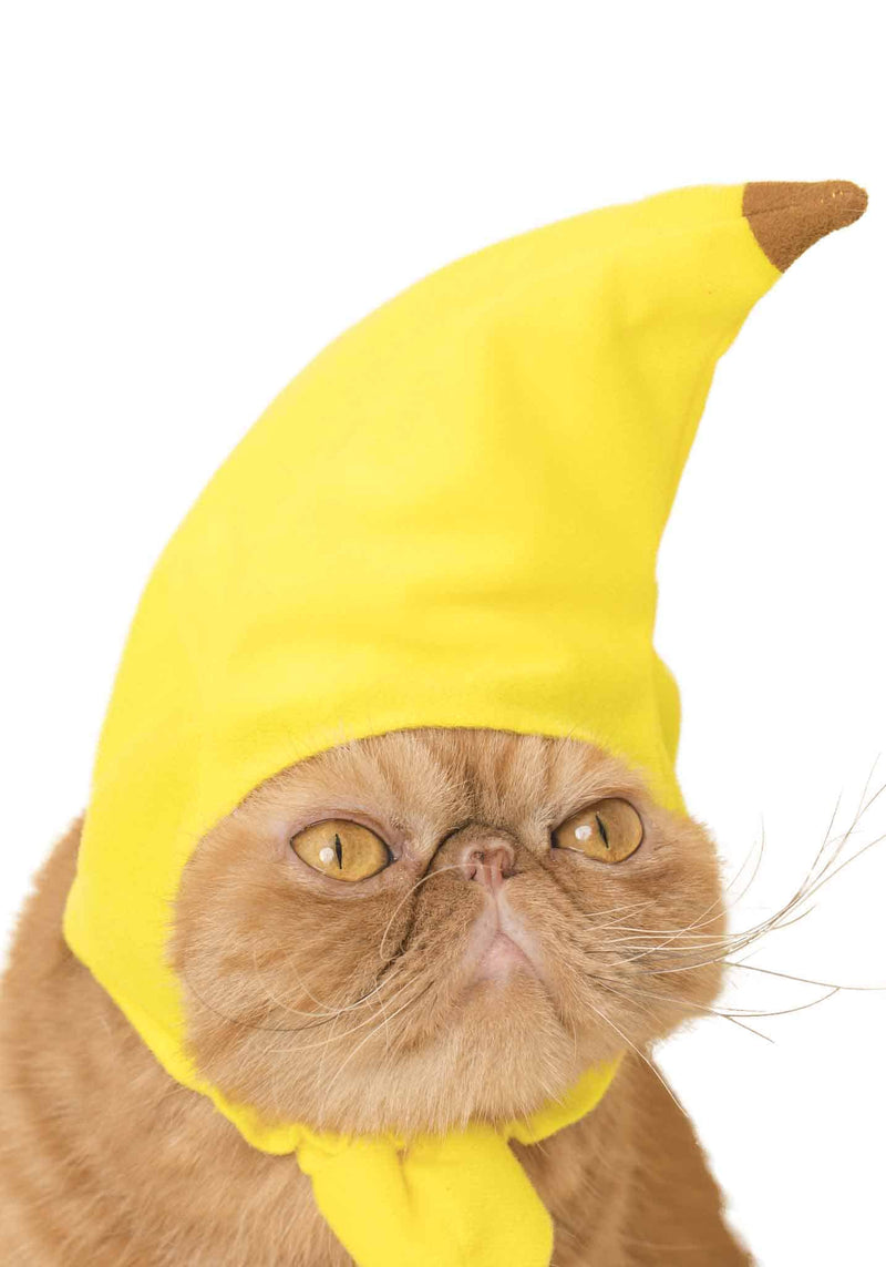 Kitan Club: Cat Cap Blind Box (Fruit)