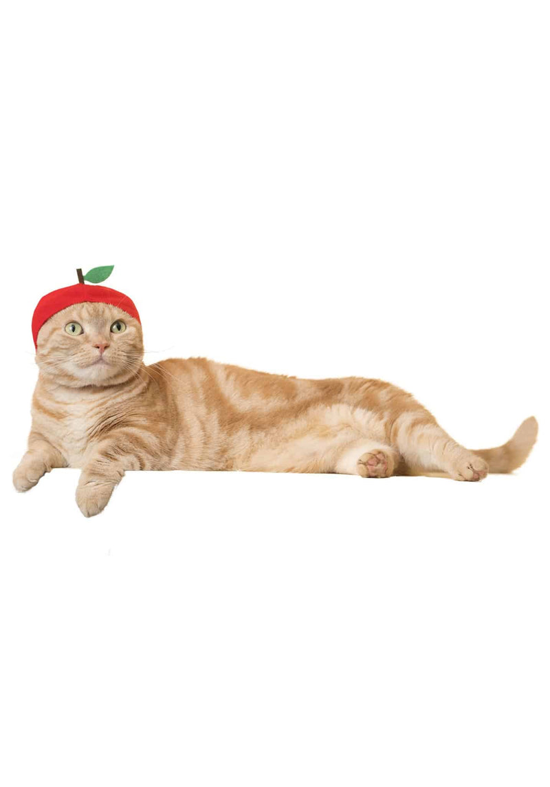 Kitan Club: Cat Cap Blind Box (Fruit)