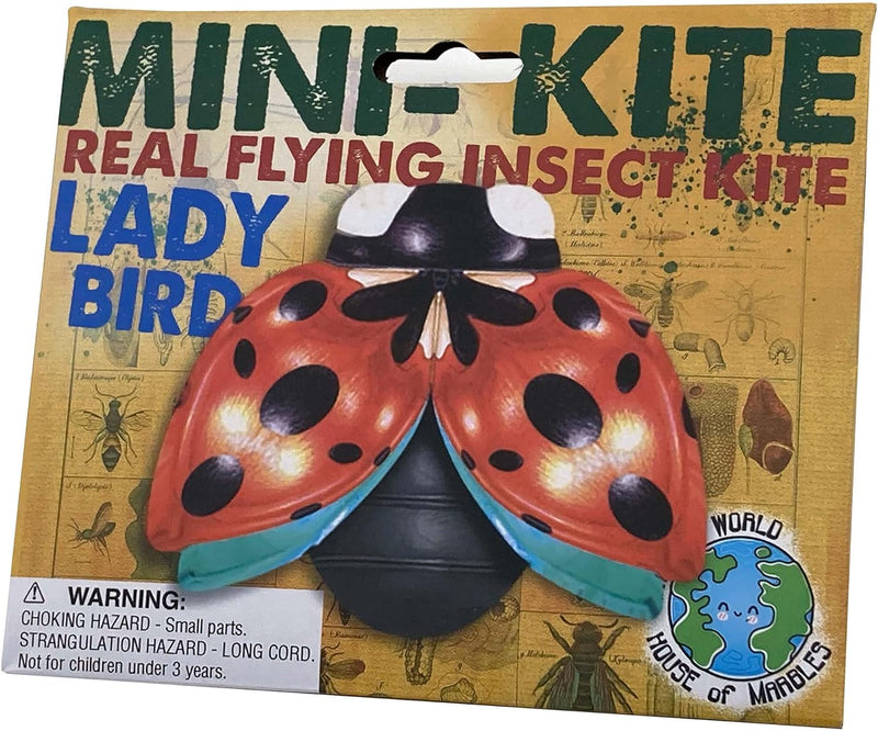 Mini Flying Insect Kites