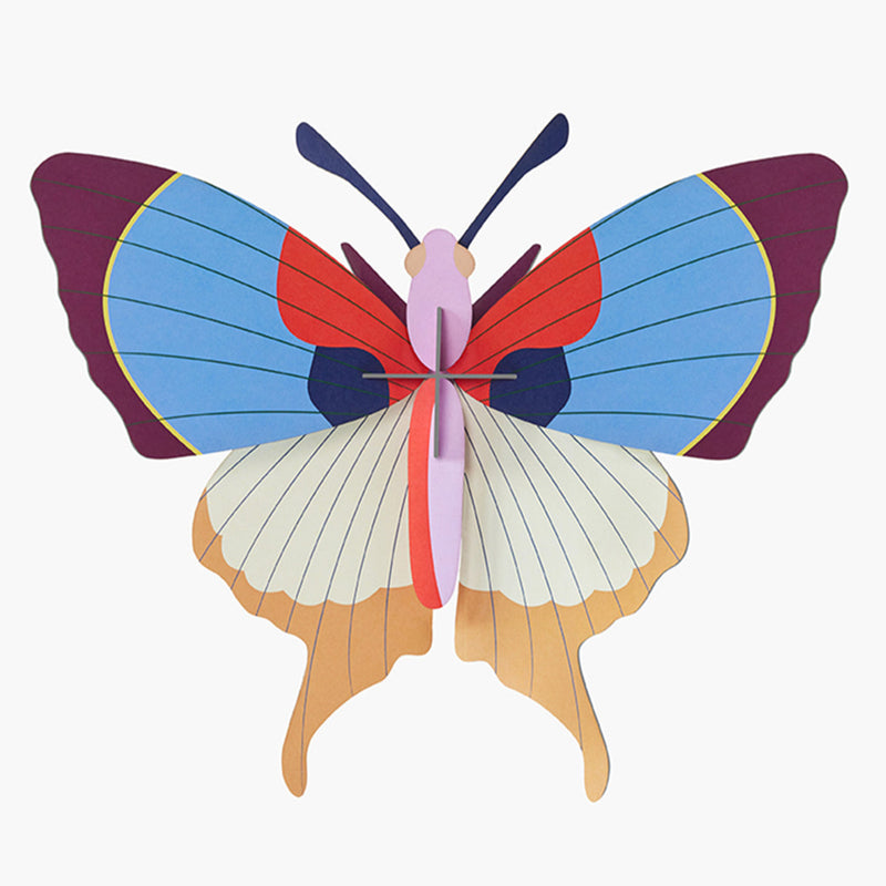 Plum Fringe Butterfly