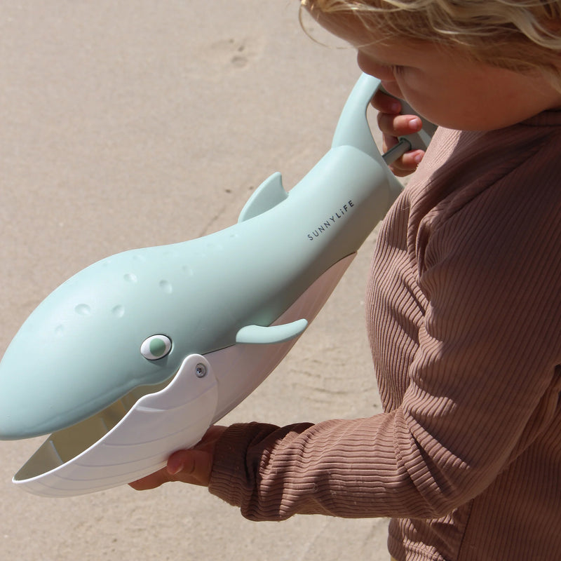 Whale Sand Claws