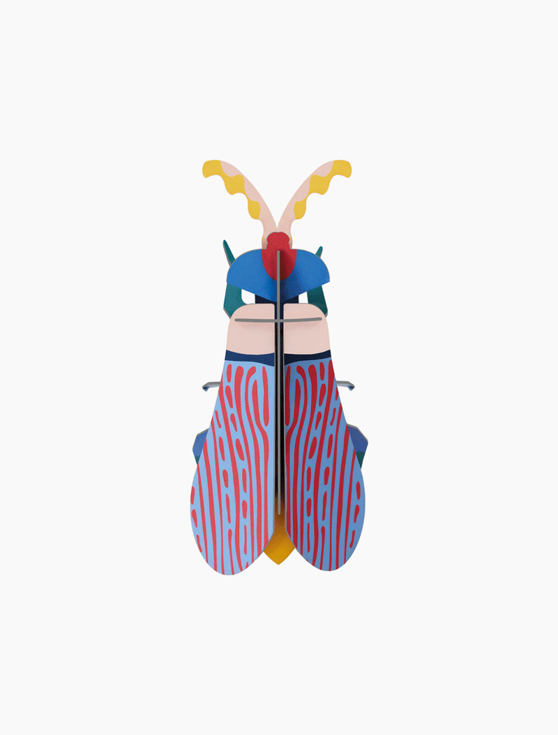 Striped Winged Beetle 3D Paper Sculpture