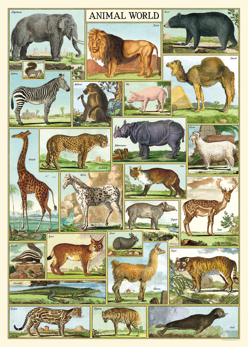 Animal World Poster