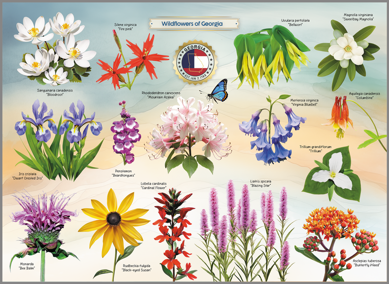 Wildflowers of Georgia 1000 Piece Puzzle