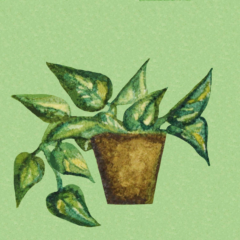 Mini 1" Pothos Philodendron Houseplant Tiny Art Print